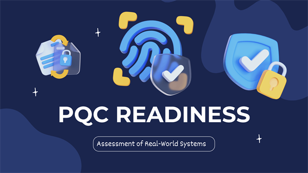PQC Readiness Assessment of Real-World Systems